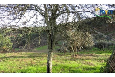 Ruïna a Carvalhal, Castelo Branco, Carvalhal - € 12.000 | Ref: AA84 - foto 2