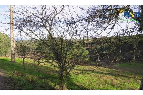 Ruïna a Carvalhal, Castelo Branco, Carvalhal - € 12.000 | Ref: AA84 - foto 3