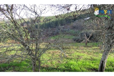 Ruïna a Carvalhal, Castelo Branco, Carvalhal - € 12.000 | Ref: AA84 - foto 4