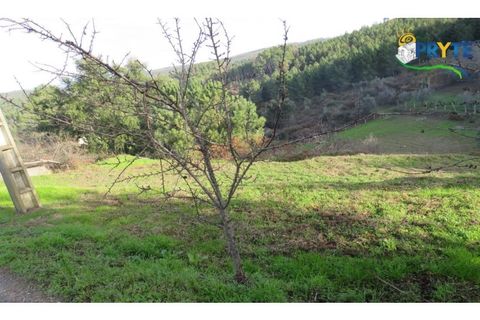 Ruïna a Carvalhal, Castelo Branco, Carvalhal - € 12.000 | Ref: AA84 - foto 5