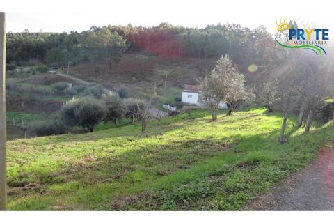 Ruïna a Carvalhal, Castelo Branco, Carvalhal - € 12.000 | Ref: AA84 - foto 6