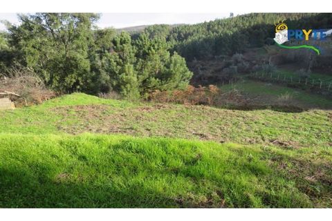 Ruïna a Carvalhal, Castelo Branco, Carvalhal - € 12.000 | Ref: AA84 - foto 7