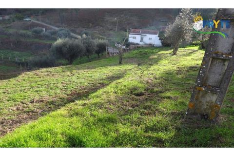 Ruïna a Carvalhal, Castelo Branco, Carvalhal - € 12.000 | Ref: AA84 - foto 8