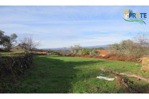 Ruïna a Carvalhal, Castelo Branco, Carvalhal - € 12.000 | Ref: AA84 - foto 14