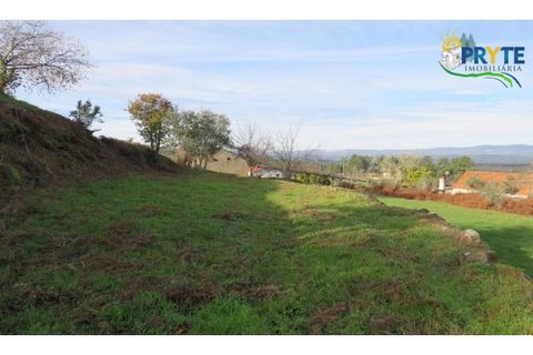 Ruïna a Carvalhal, Castelo Branco, Carvalhal - € 12.000 | Ref: AA84 - foto 19