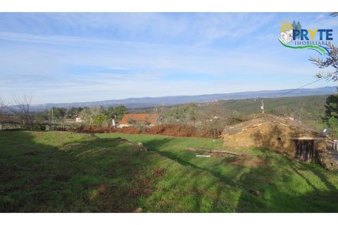 Ruïna a Carvalhal, Castelo Branco, Carvalhal - € 12.000 | Ref: AA84 - foto 20