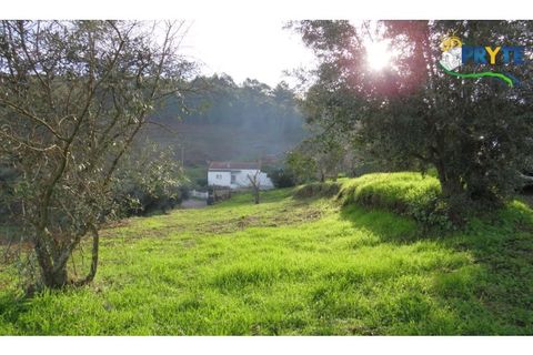 Ruïna a Carvalhal, Castelo Branco, Carvalhal - € 12.000 | Ref: AA84 - foto 23