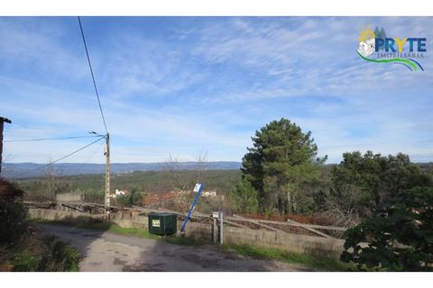 Ruïna a Carvalhal, Castelo Branco, Carvalhal - € 12.000 | Ref: AA84 - foto 25