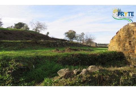 Ruïna a Carvalhal, Castelo Branco, Carvalhal - € 12.000 | Ref: AA84 - foto 27