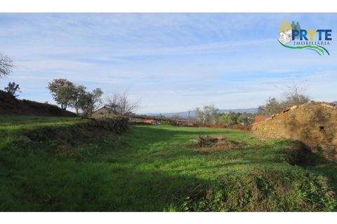 Ruïna a Carvalhal, Castelo Branco, Carvalhal - € 12.000 | Ref: AA84 - foto 30