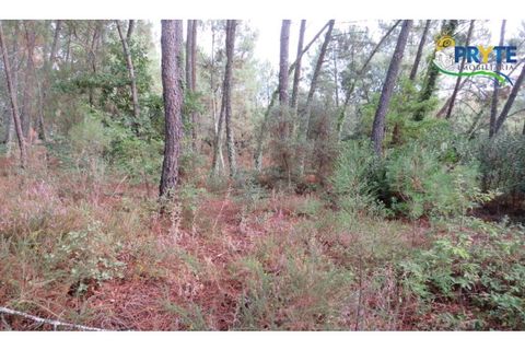Terra a Cabecudo, Castelo Branco, Cabecudo - € 45.000 | Ref: AS39 - foto 8