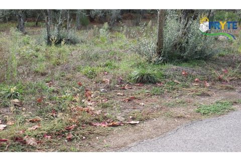 Terra a Cabecudo, Castelo Branco, Cabecudo - € 45.000 | Ref: AS39 - foto 17
