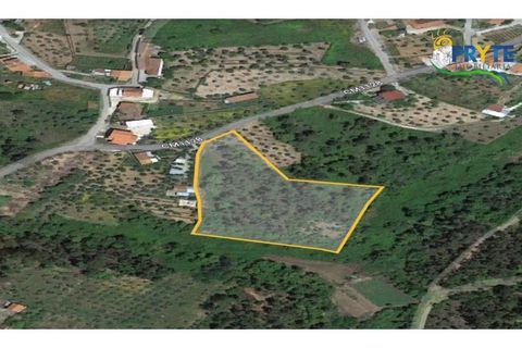 Terra a Cabecudo, Castelo Branco, Cabecudo - € 45.000 | Ref: AS39 - foto 18