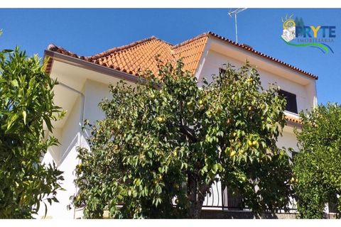 Villa a Proenca-a-Nova, Castelo Branco, Proenca-a-Nova - € 350.000 | Ref: MG85 - foto 2