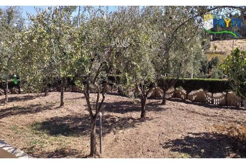 Villa a Proenca-a-Nova, Castelo Branco, Proenca-a-Nova - € 350.000 | Ref: MG85 - foto 4