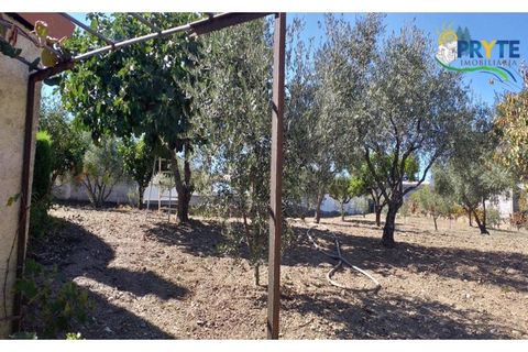 Villa a Proenca-a-Nova, Castelo Branco, Proenca-a-Nova - € 350.000 | Ref: MG85 - foto 8