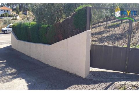 Villa a Proenca-a-Nova, Castelo Branco, Proenca-a-Nova - € 350.000 | Ref: MG85 - foto 10