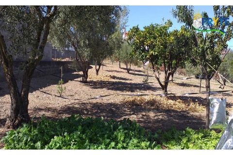 Villa a Proenca-a-Nova, Castelo Branco, Proenca-a-Nova - € 350.000 | Ref: MG85 - foto 13