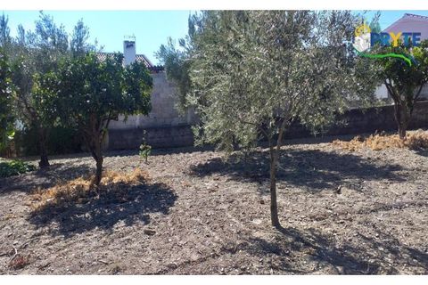 Villa a Proenca-a-Nova, Castelo Branco, Proenca-a-Nova - € 350.000 | Ref: MG85 - foto 15