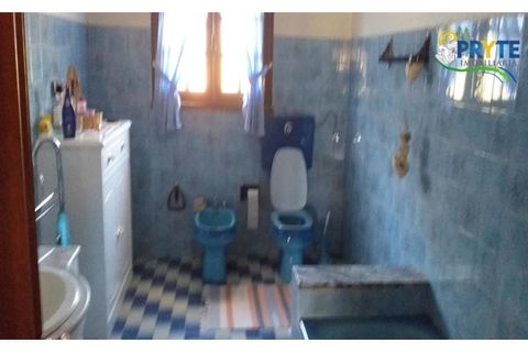 Villa a Proenca-a-Nova, Castelo Branco, Proenca-a-Nova - € 350.000 | Ref: MG85 - foto 38