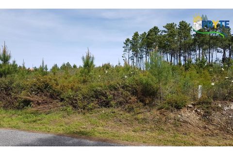 Helårsgrund i Serta, Castelo Branco, Serta - € 35.000 | Ref: AS30 - foto 1