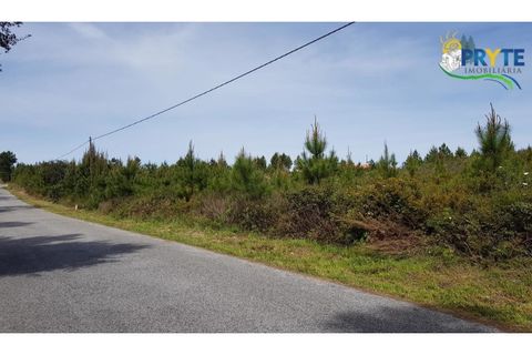 Helårsgrund i Serta, Castelo Branco, Serta - € 35.000 | Ref: AS30 - foto 3