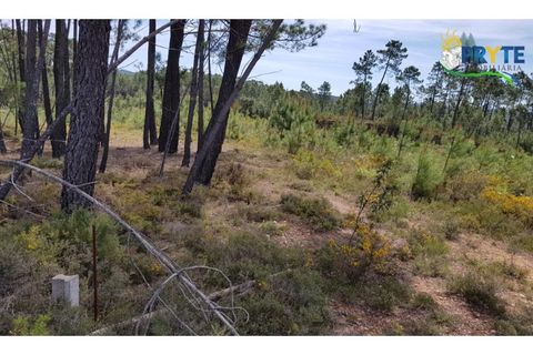 Helårsgrund i Serta, Castelo Branco, Serta - € 35.000 | Ref: AS30 - foto 4