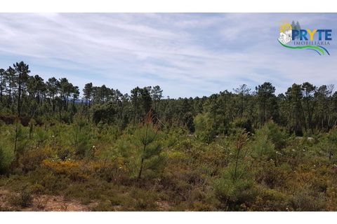 Helårsgrund i Serta, Castelo Branco, Serta - € 35.000 | Ref: AS30 - foto 5