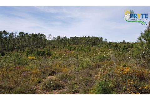 Helårsgrund i Serta, Castelo Branco, Serta - € 35.000 | Ref: AS30 - foto 6