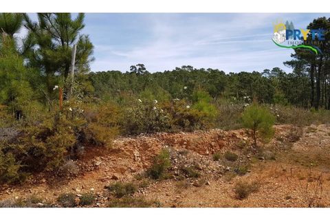Helårsgrund i Serta, Castelo Branco, Serta - € 35.000 | Ref: AS30 - foto 7