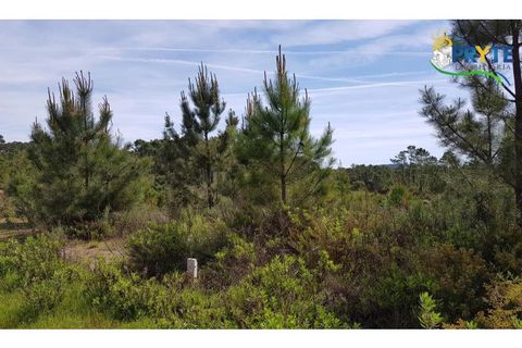 Helårsgrund i Serta, Castelo Branco, Serta - € 35.000 | Ref: AS29 - foto 4