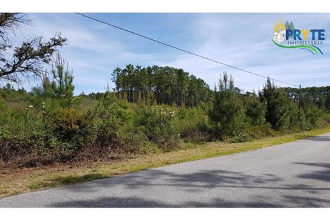 Helårsgrund i Serta, Castelo Branco, Serta - € 35.000 | Ref: AS29 - foto 7