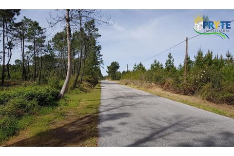 Helårsgrund i Serta, Castelo Branco, Serta - € 35.000 | Ref: AS29 - foto 8