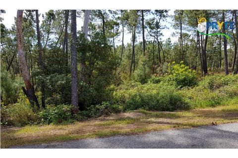 Helårsgrund i Serta, Castelo Branco, Serta - € 35.000 | Ref: AS29 - foto 10