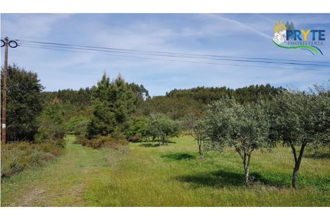 Helårsgrund i Serta, Castelo Branco, Serta - € 60.000 | Ref: AS28 - foto 1