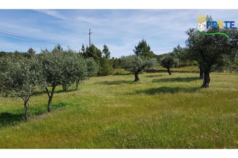 Helårsgrund i Serta, Castelo Branco, Serta - € 60.000 | Ref: AS28 - foto 2