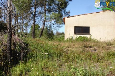 Helårsgrund i Castelo Branco, Castelo Branco, Castelo Branco - € 49.000 | Ref: VF63 - foto 2