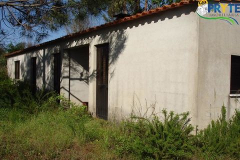 Helårsgrund i Castelo Branco, Castelo Branco, Castelo Branco - € 49.000 | Ref: VF63 - foto 4