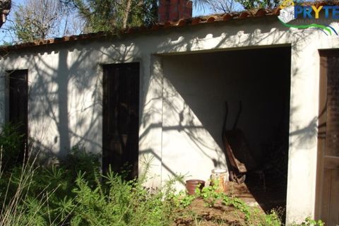 Helårsgrund i Castelo Branco, Castelo Branco, Castelo Branco - € 49.000 | Ref: VF63 - foto 5
