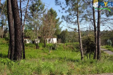 Helårsgrund i Castelo Branco, Castelo Branco, Castelo Branco - € 49.000 | Ref: VF63 - foto 7