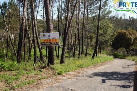 Helårsgrund i Castelo Branco, Castelo Branco, Castelo Branco - € 49.000 | Ref: VF63 - foto 9