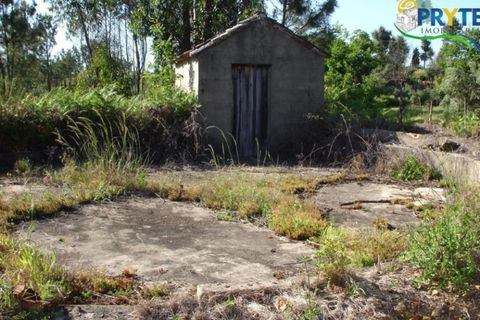 Helårsgrund i Castelo Branco, Castelo Branco, Castelo Branco - € 49.000 | Ref: VF63 - foto 10