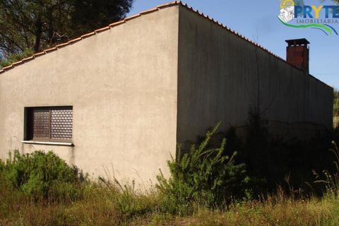 Helårsgrund i Castelo Branco, Castelo Branco, Castelo Branco - € 49.000 | Ref: VF63 - foto 12