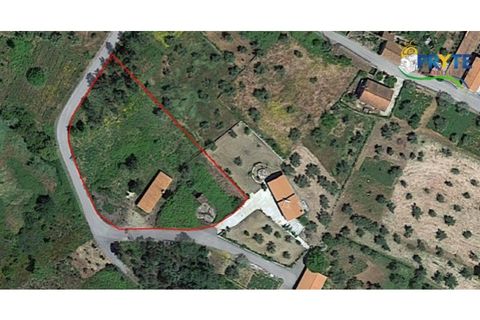 Helårsgrund i Castelo Branco, Castelo Branco, Castelo Branco - € 49.000 | Ref: VF63 - foto 13