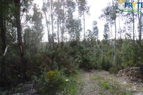 Helårsgrund i Serta, Castelo Branco, Serta - € 100.000 | Ref: AA44 - foto 1