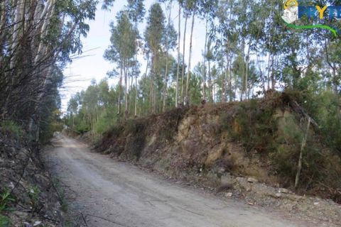 Helårsgrund i Serta, Castelo Branco, Serta - € 100.000 | Ref: AA44 - foto 5