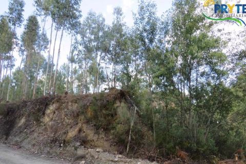Helårsgrund i Serta, Castelo Branco, Serta - € 100.000 | Ref: AA44 - foto 6