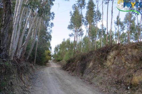 Helårsgrund i Serta, Castelo Branco, Serta - € 100.000 | Ref: AA44 - foto 7