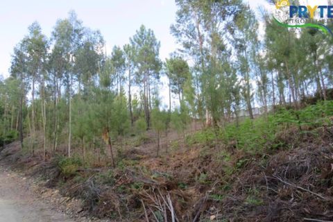 Helårsgrund i Serta, Castelo Branco, Serta - € 100.000 | Ref: AA44 - foto 8