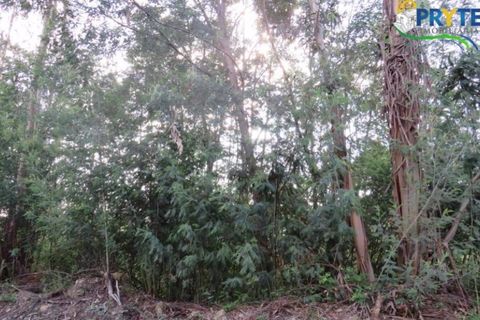 Helårsgrund i Serta, Castelo Branco, Serta - € 100.000 | Ref: AA44 - foto 11